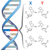 nucleoside