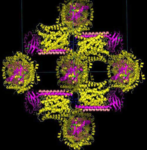 HIV crystal collage