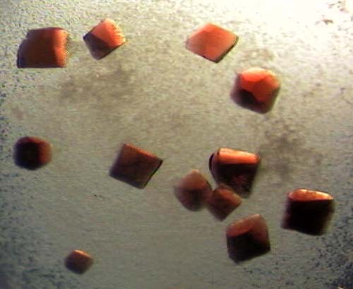 HIV crystal collage