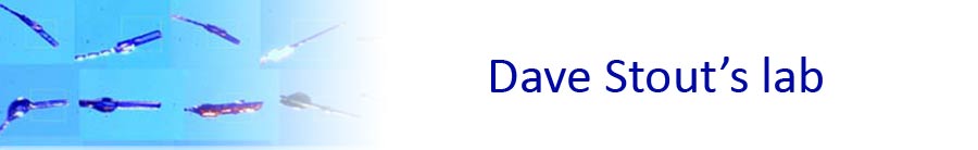 Welcome to Dave Stout's lab