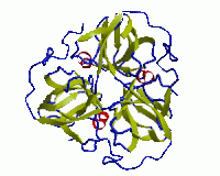 dUTP.gif (8754 bytes)