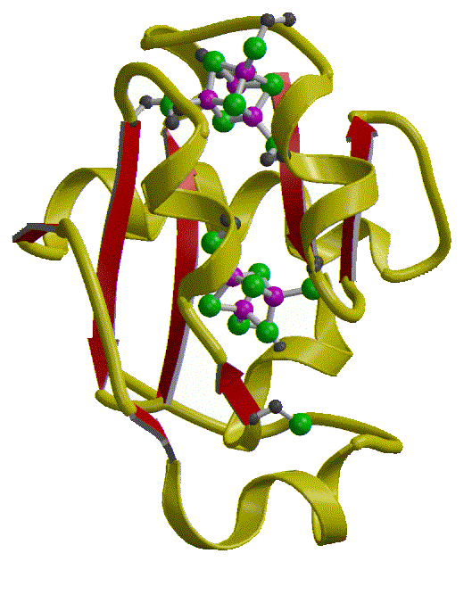 fdx.gif (90005 bytes)
