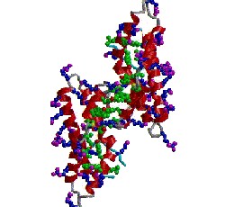Copy_of_dimer.ras3d.gif (79152 bytes)
