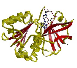 Copy_of_ptx.ras3d.2.gif (76047 bytes)