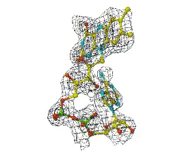 FAD in Experimental Electron Density