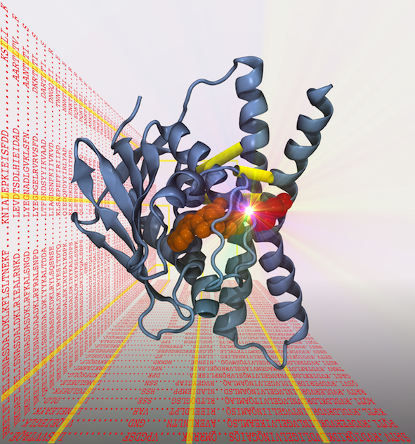 Autophosphorylation Conformation