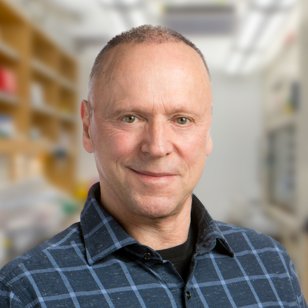 Friedbert Weiss, PhD