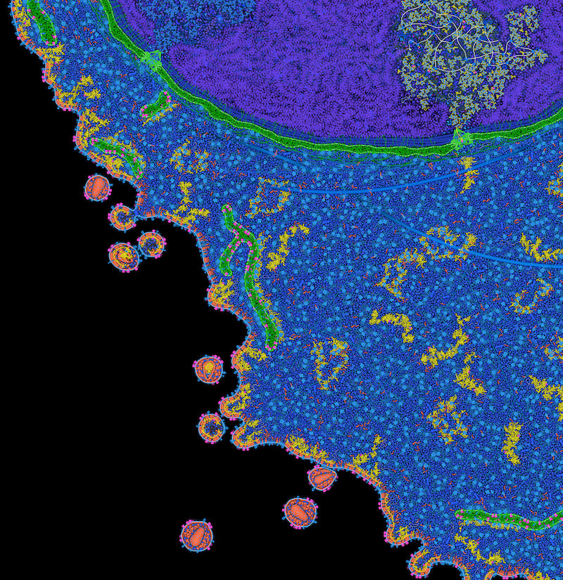 Infectious Diseases