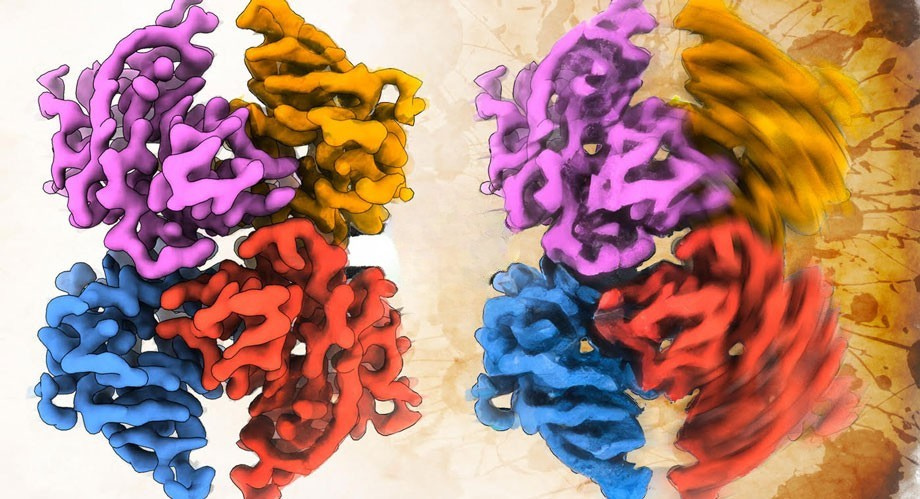 Rare Diseases