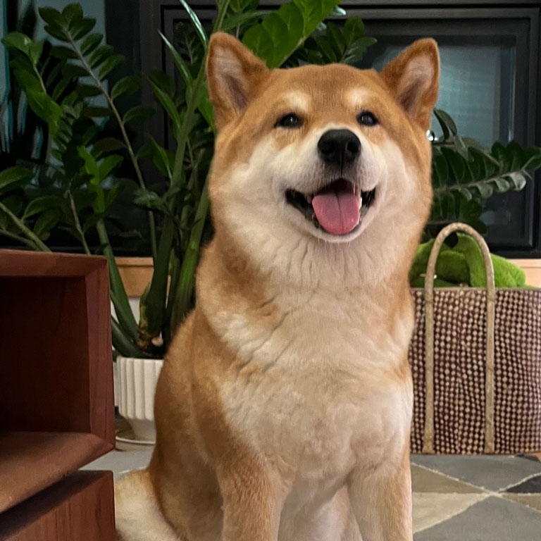 Gordan