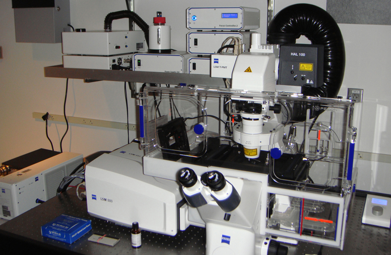Zeiss Airyscan