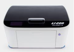 Odyssey M Imager