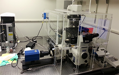 Spinning Disk Microscope