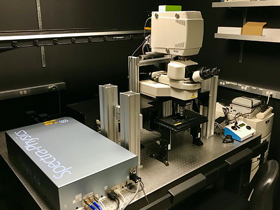 Multi-photon Laser Scanning Microscopy