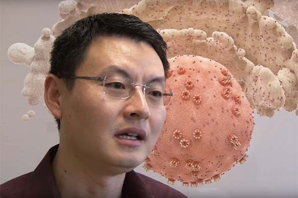 Video: Researchers bring scattered data together