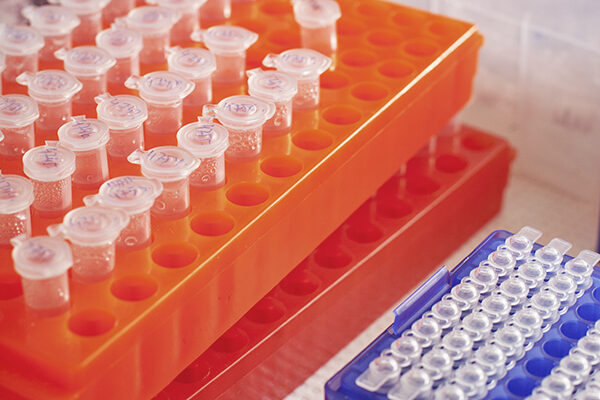 Scripps Research scientists receive $12 million for malaria and flu vaccine research