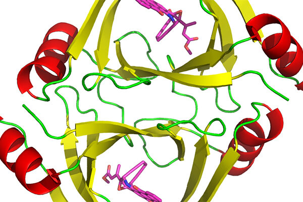 Scripps Research study provides new clues to improving chemotherapies