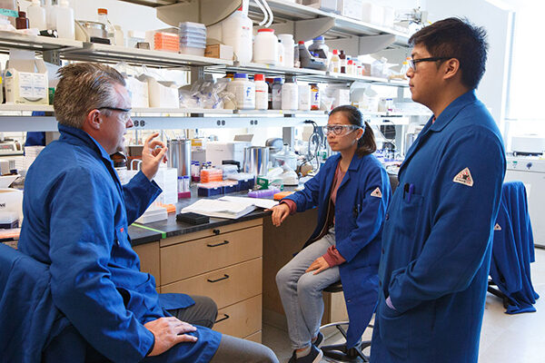 Some existing anti-cancer drugs may act in part by targeting RNA, study shows