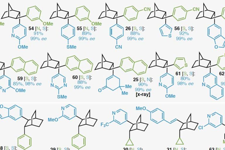 Best of both worlds: Combining two skeleton-building chemical reactions provides powerful tool for building new drugs