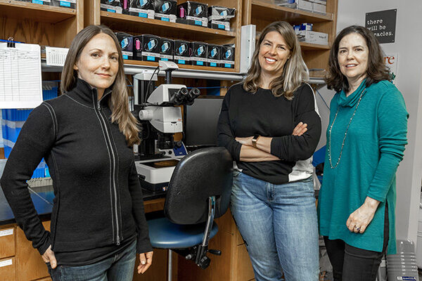 Ebola virus experts discover powerful, new approach for future therapeutics
