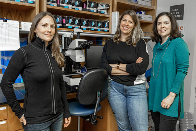 Ebola virus experts discover powerful, new approach for future therapeutics