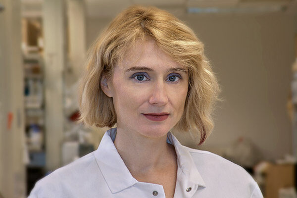 Potential drugs for ALS, Alzheimer’s and Parkinson’s garner $3 million grant