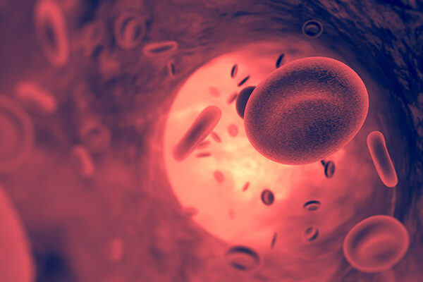 Solving a 100-year mystery in blood pressure research