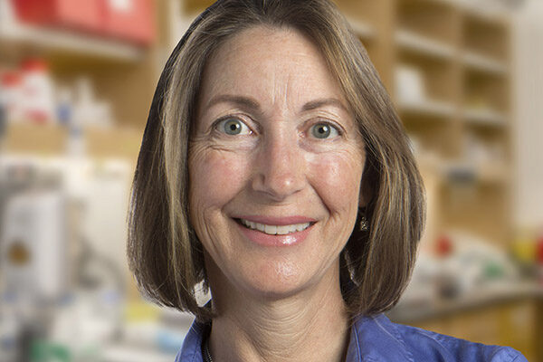 Scripps Research awarded $3.3 million grant to study brain circuitry