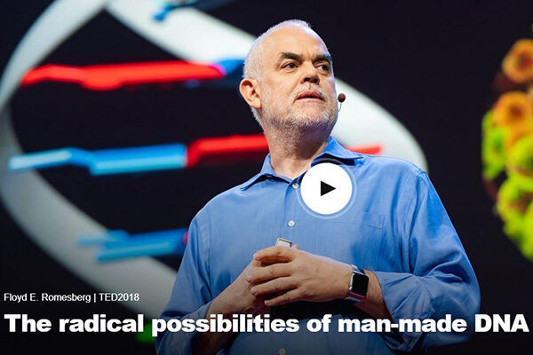 Is our DNA limited to four letters?