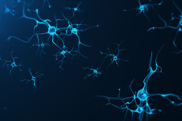 Scripps Research scientists investigate how antipsychotic medications drive weight gain
