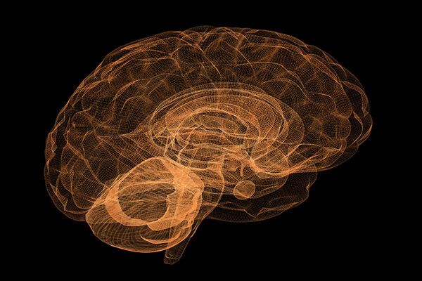 Scientists discover link in brain between anxiety and weight loss