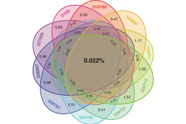 Humans may be capable of producing a quintillion different antibodies