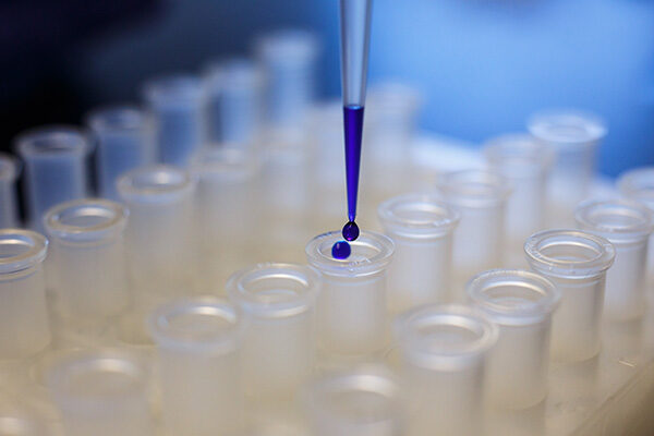 Breast cancer cells shifted into HER2 positive status with bold new strategy