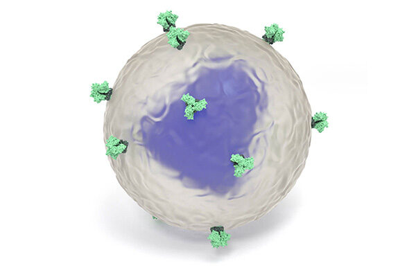 Scripps Research discoveries pave way to clinical trial of new type of HIV vaccine