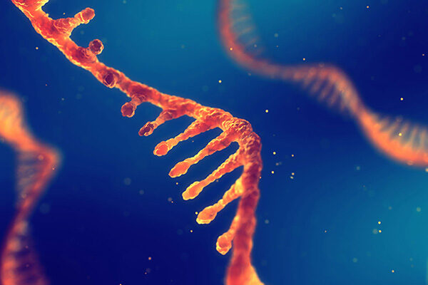 Chemistry feat suggests the building blocks of DNA and RNA could have appeared together before life began on earth
