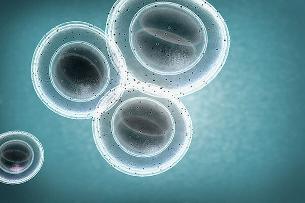 Scripps Research ranked second in the world among scientific institutes for biomedical research