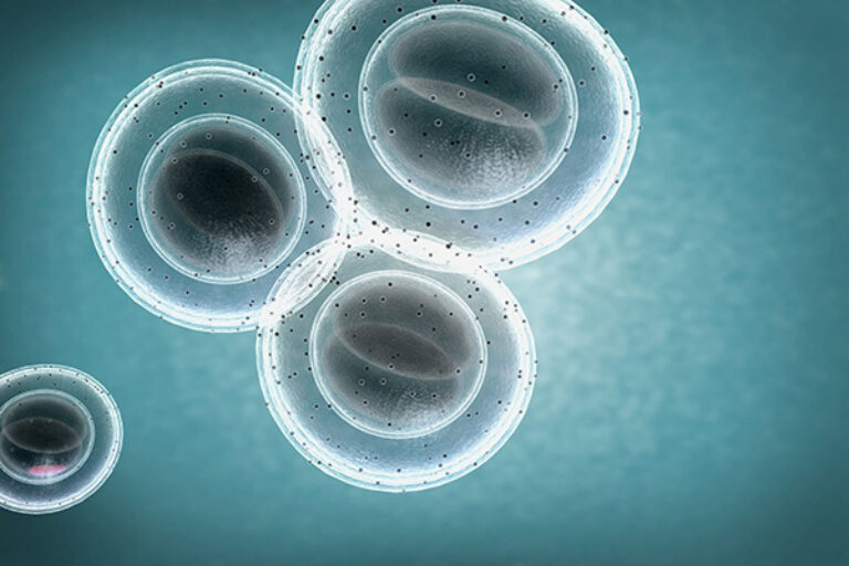 Scripps Research ranked second in the world among scientific institutes for biomedical research