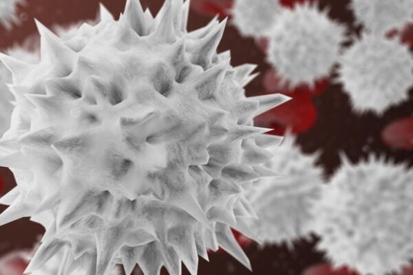 Forget what the textbooks say, human ‘natural killer’ cells do remember past viral attacks