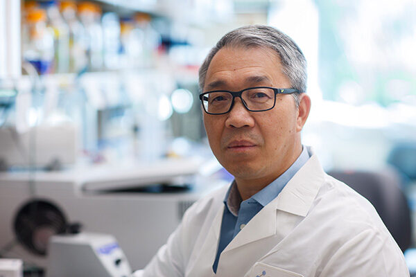 Scientists discover ‘forgetting’ enzyme that lops brain cell branches