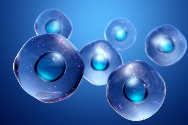 Scientists identify molecule that could have helped cells survive—and thrive—on early Earth