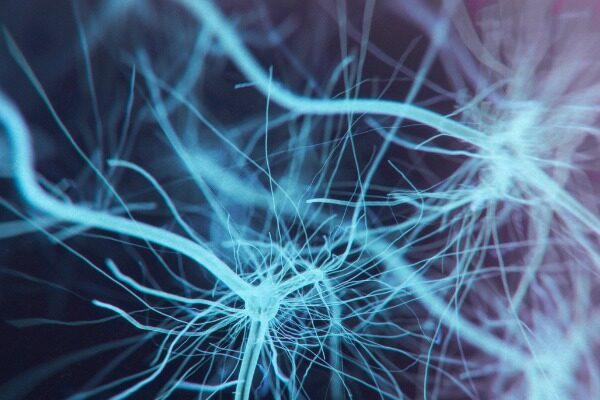 For the first time, potential treatment path becomes clear for subtype of Charcot-Marie-Tooth disease