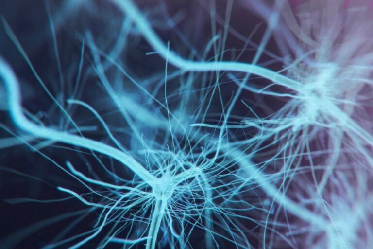 For the first time, potential treatment path becomes clear for subtype of Charcot-Marie-Tooth disease