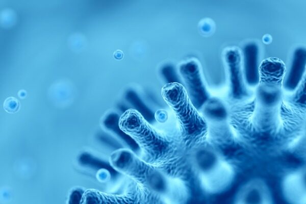 Experimental HIV vaccine successfully elicits broadly neutralizing antibodies to the virus