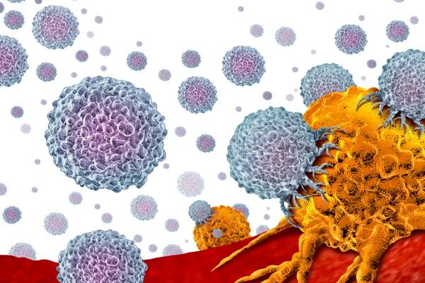 New screening method identifies potential anticancer compounds that reawaken T cells