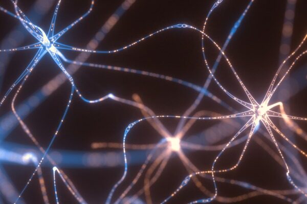Alzheimer’s ‘mini-brains’ engineered from patient cells manifest key symptom just like humans do
