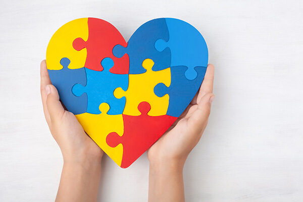 Autism model links uneven growth of brain regions to excess support cells