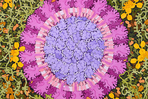 Scripps Research scientists tackle COVID-19 coronavirus pandemic from many angles