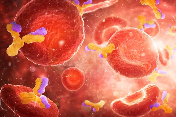 COVID-19 survivors needed for Scripps Research antibody study
