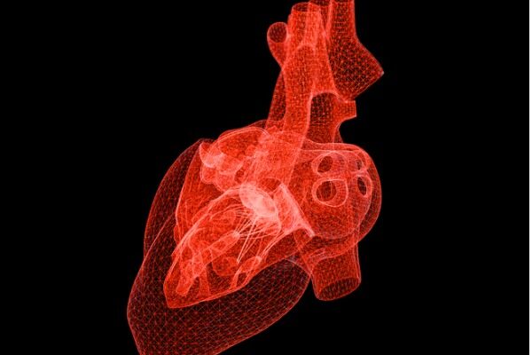 Muscle protein abundant in the heart plays key role in blood clotting during heart attack