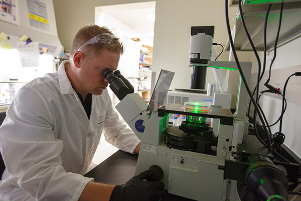 Treating cancer drug resistance may come at a cost to immune system, study suggests